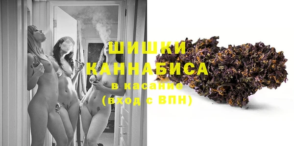 стаф Балахна