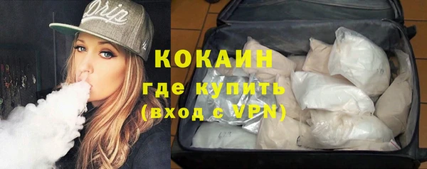 стаф Балахна