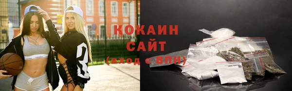 дживик Баксан