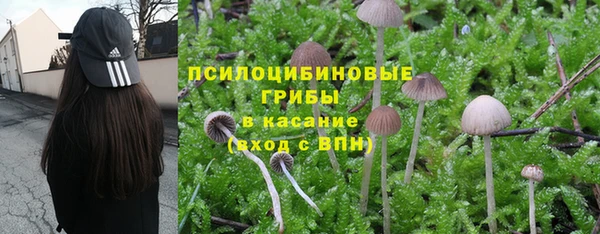хмурый Балабаново