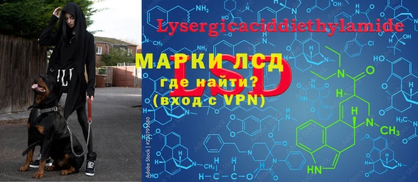 дживик Баксан