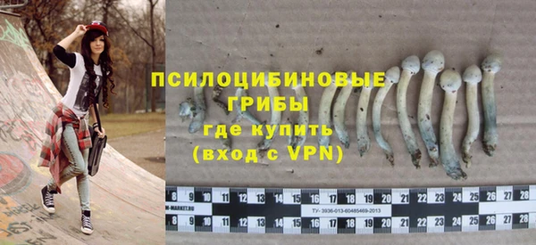 дживик Баксан