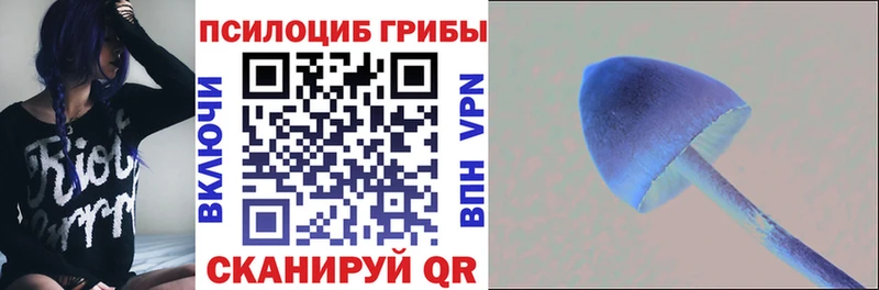 продажа наркотиков  сайты даркнета формула  Псилоцибиновые грибы мухоморы  Озёры 