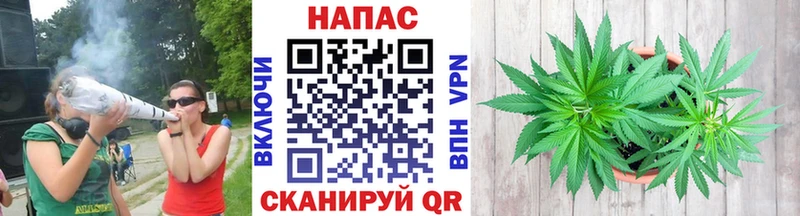 где купить   Озёры  Канабис OG Kush 